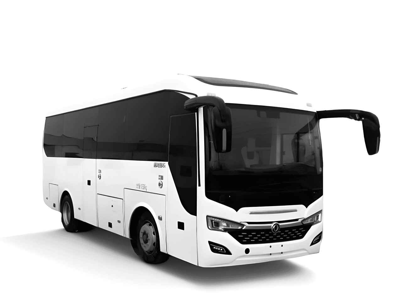Dongfeng electric buses set for Nepal expo debut