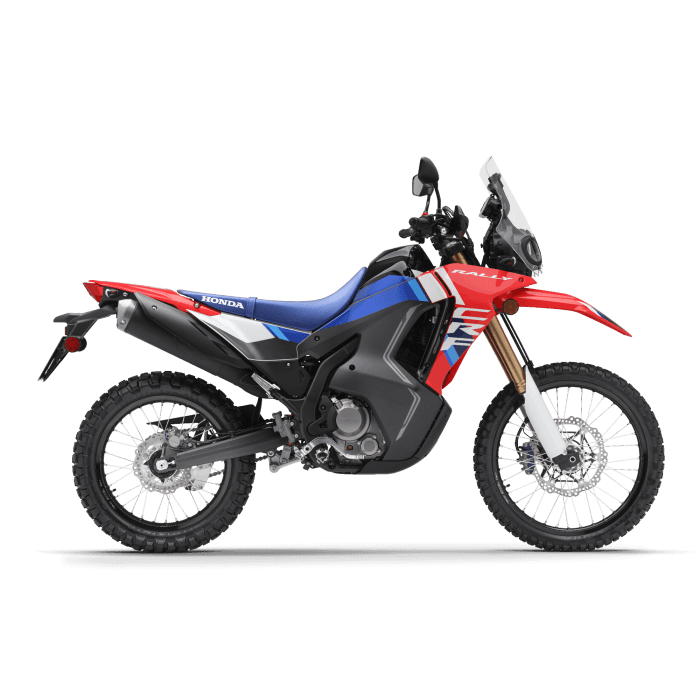 Honda XR300 Rally