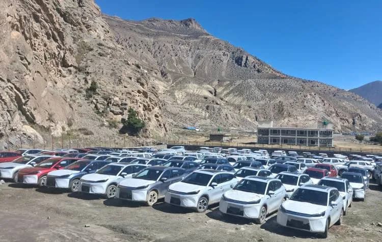 Korala customs hits annual revenue target as EV imports surge