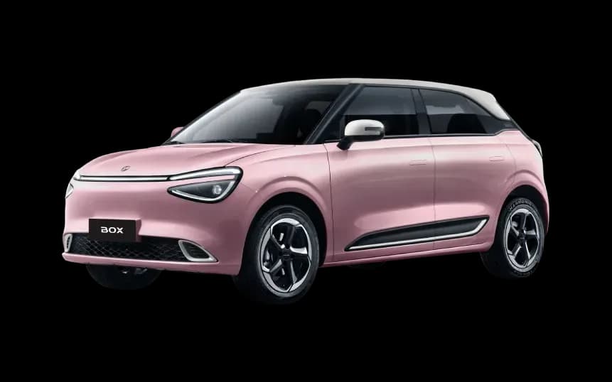 Dongfeng Nammi Box